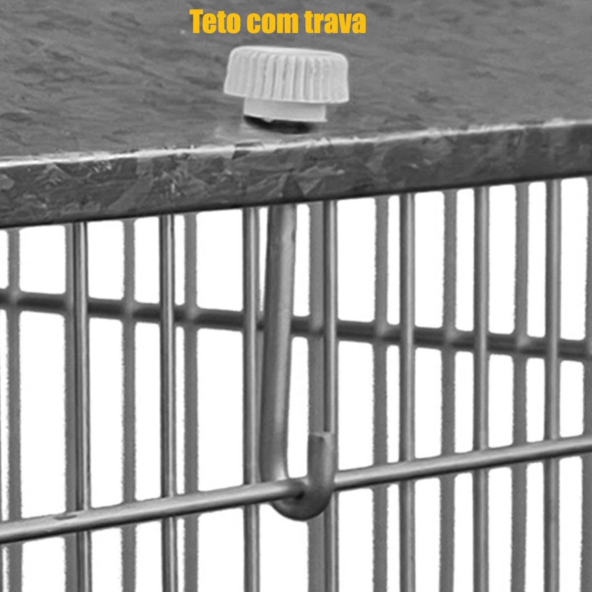 Viveiro Popular 4