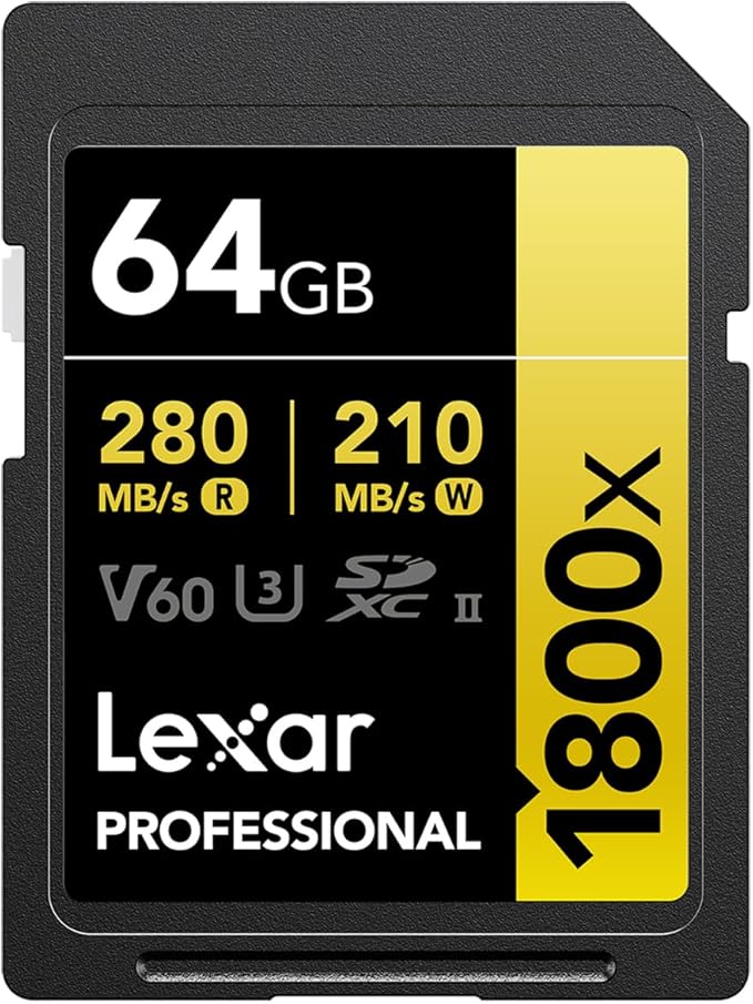 Top 10 Melhores Cartões SD em 2026 (Sandisk, Lexar e mais) 4