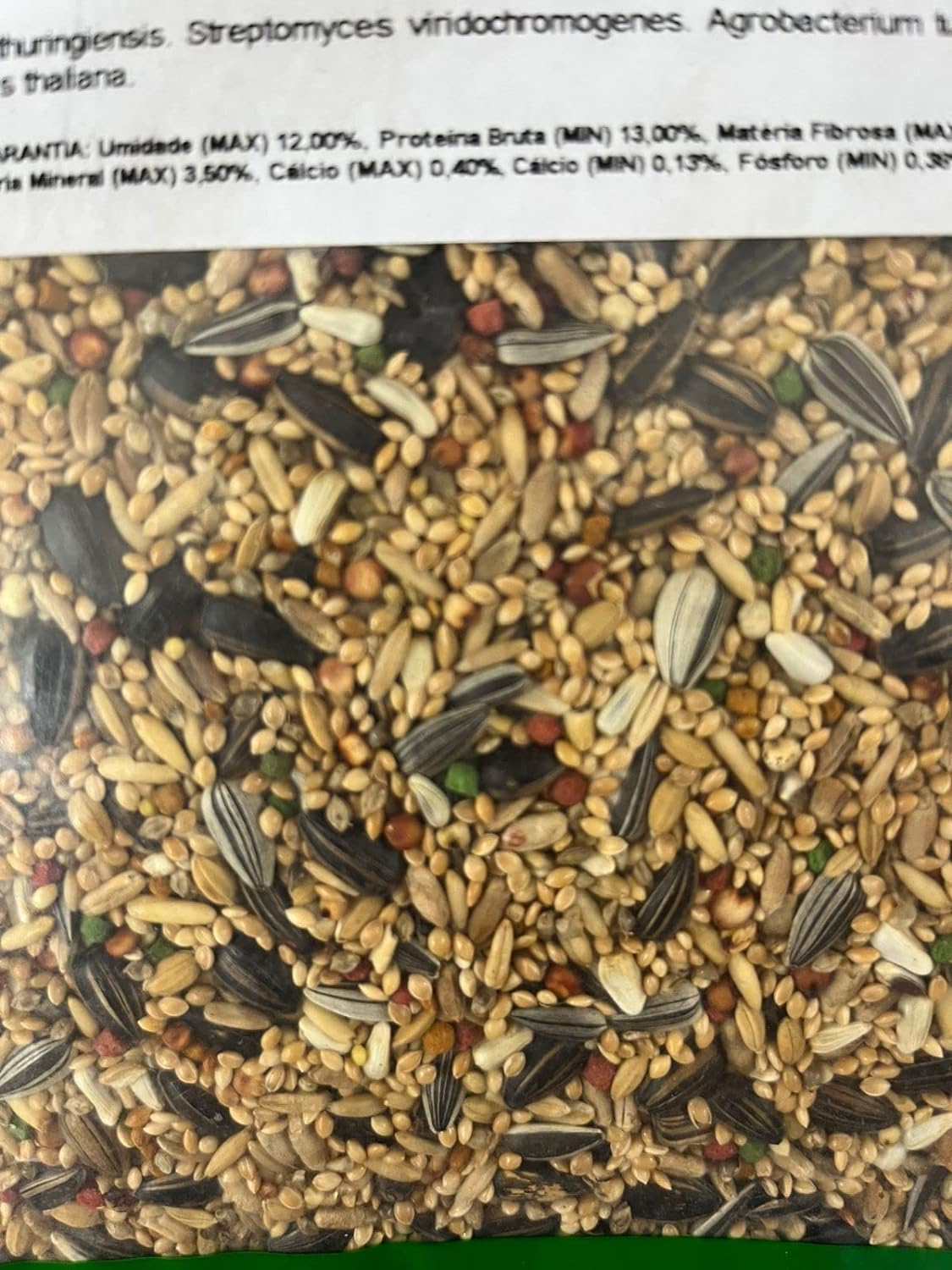 Calopsita e Agapornis - 5 kg 4