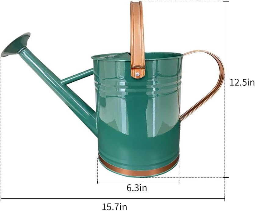 Regador de Aço Galvanizado para Plantas 2