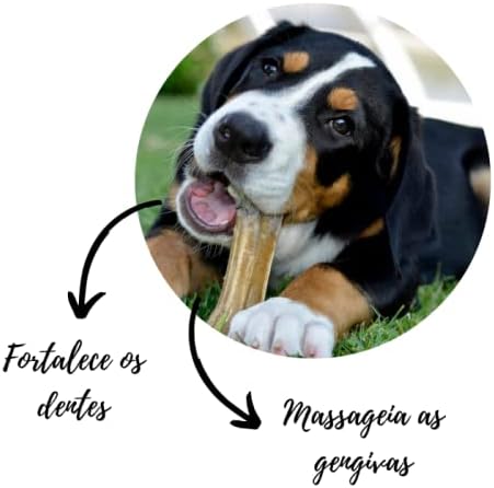 Osso Fêmur Suíno para Cachorros Petisco Natural Desidratado 2