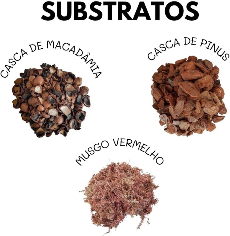 Cachepot de Madeiras para Plantas Redondo 2