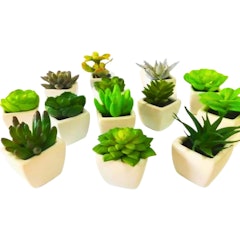 Conjunto com 6 Vasos de Cerâmica e Mini Suculentas Artificiais