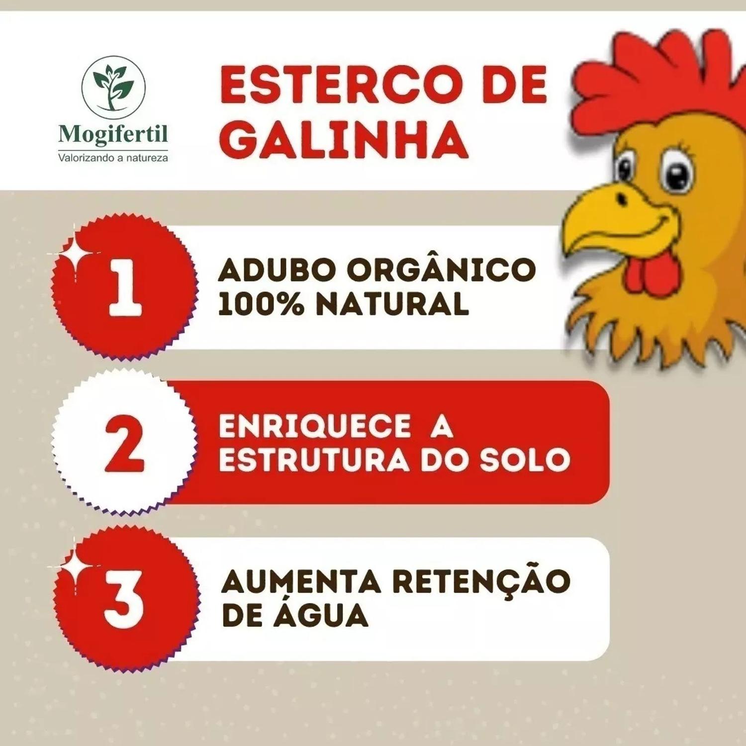 Esterco de Galinha Misto 2