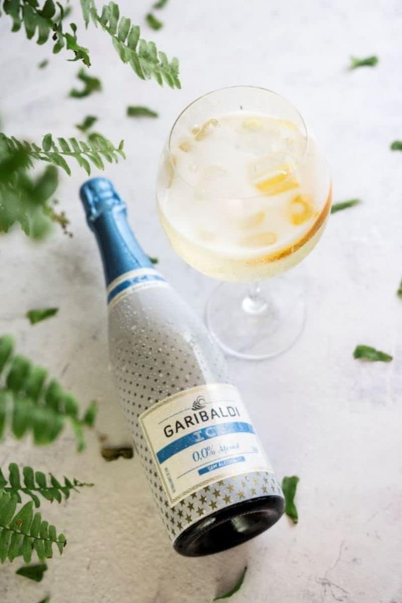 Garibaldi ICE - Zero Álcool 4