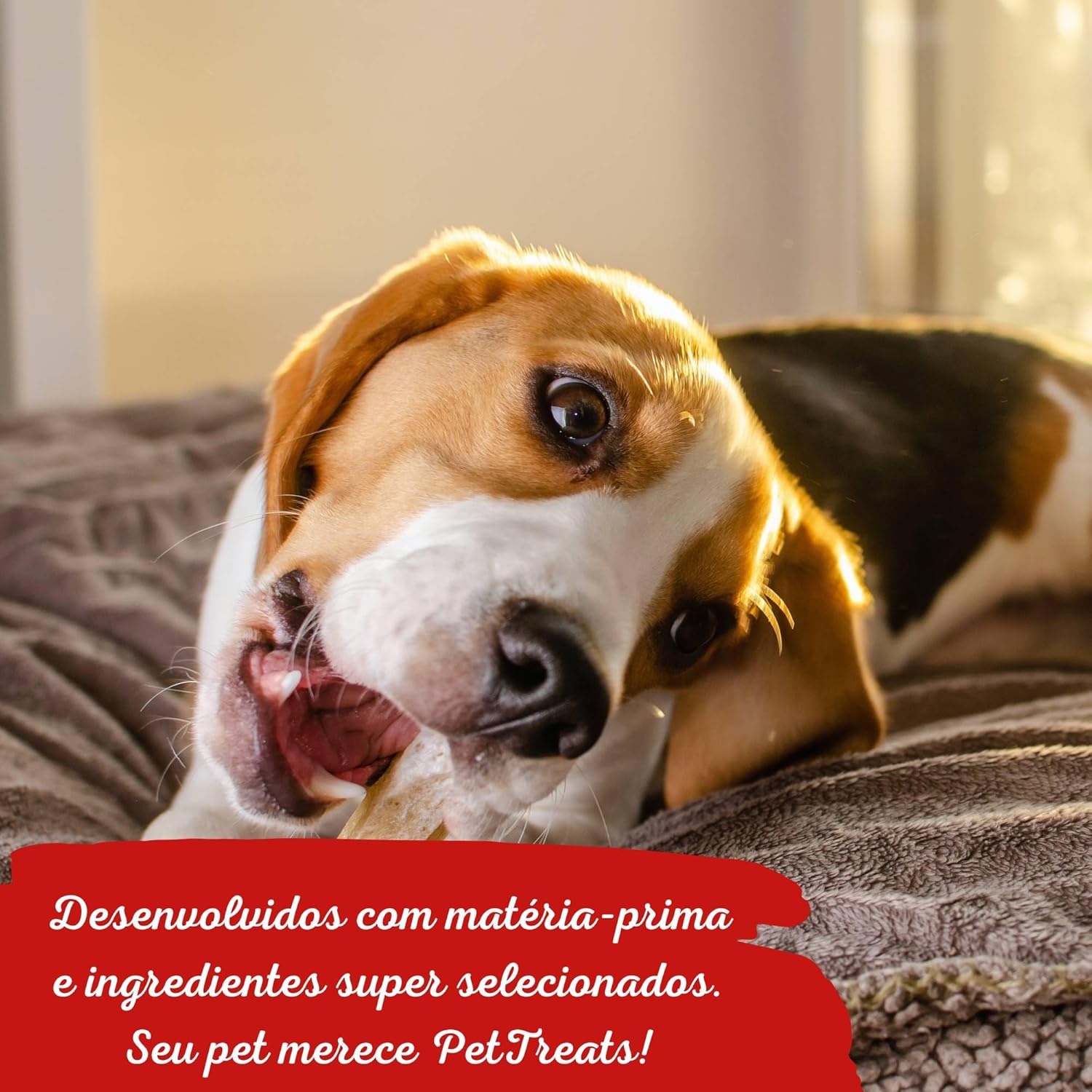 Osso Churrasquinho 4
