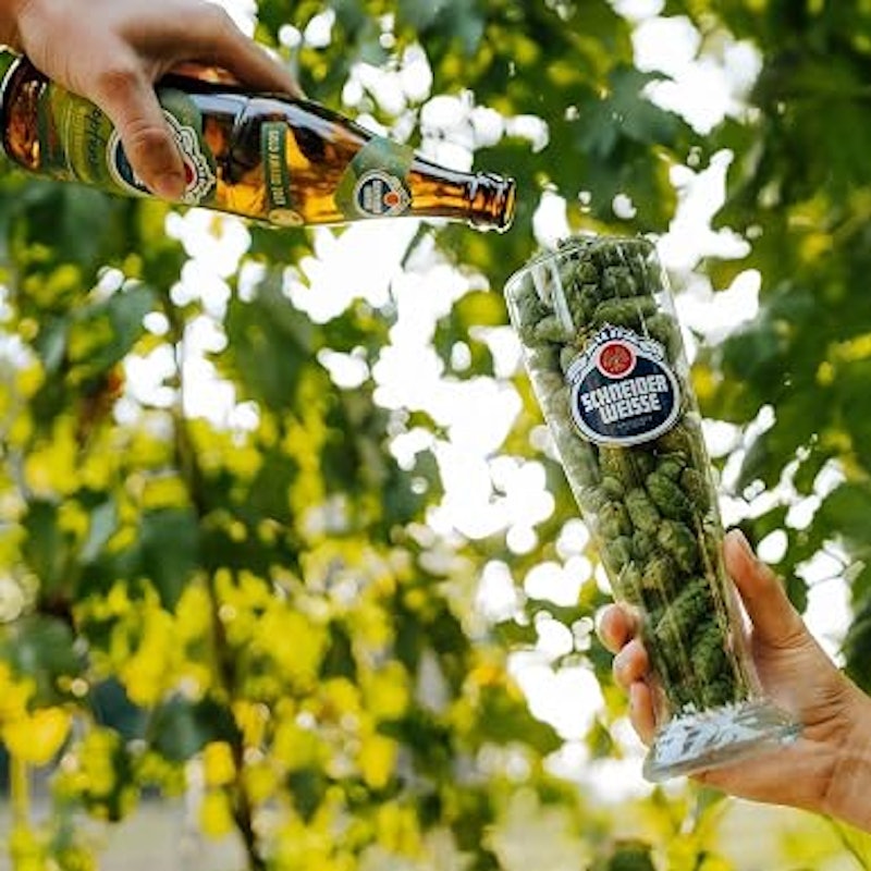 Cerveja TAP 5 Hopfenweisse 2