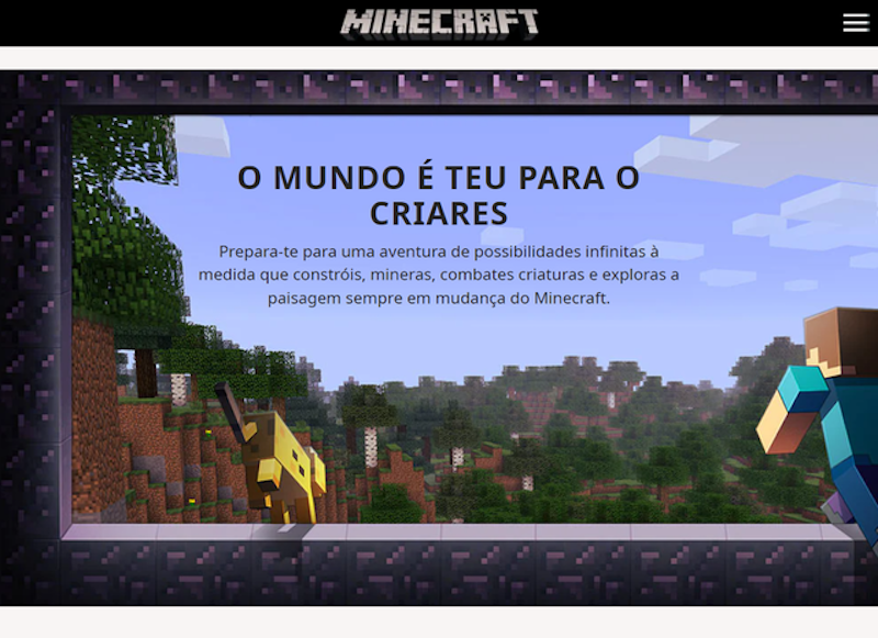 Minecraft (2011) 2