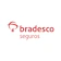 BRADESCO SEGUROS Bradesco Seguro Auto 1
