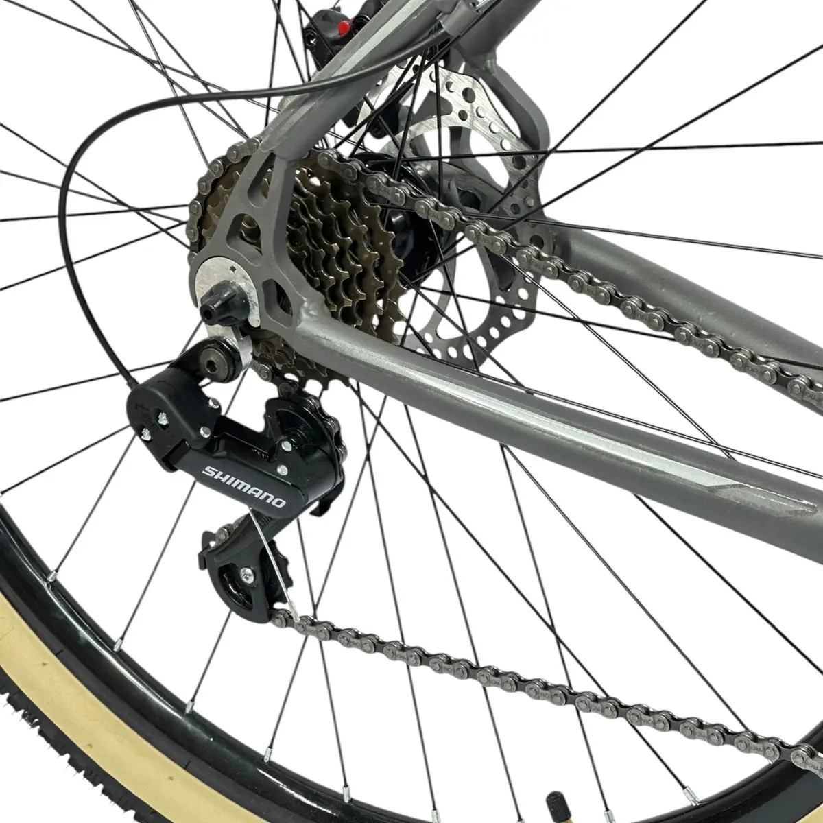 Bike Beach Aro 29 Rino 5