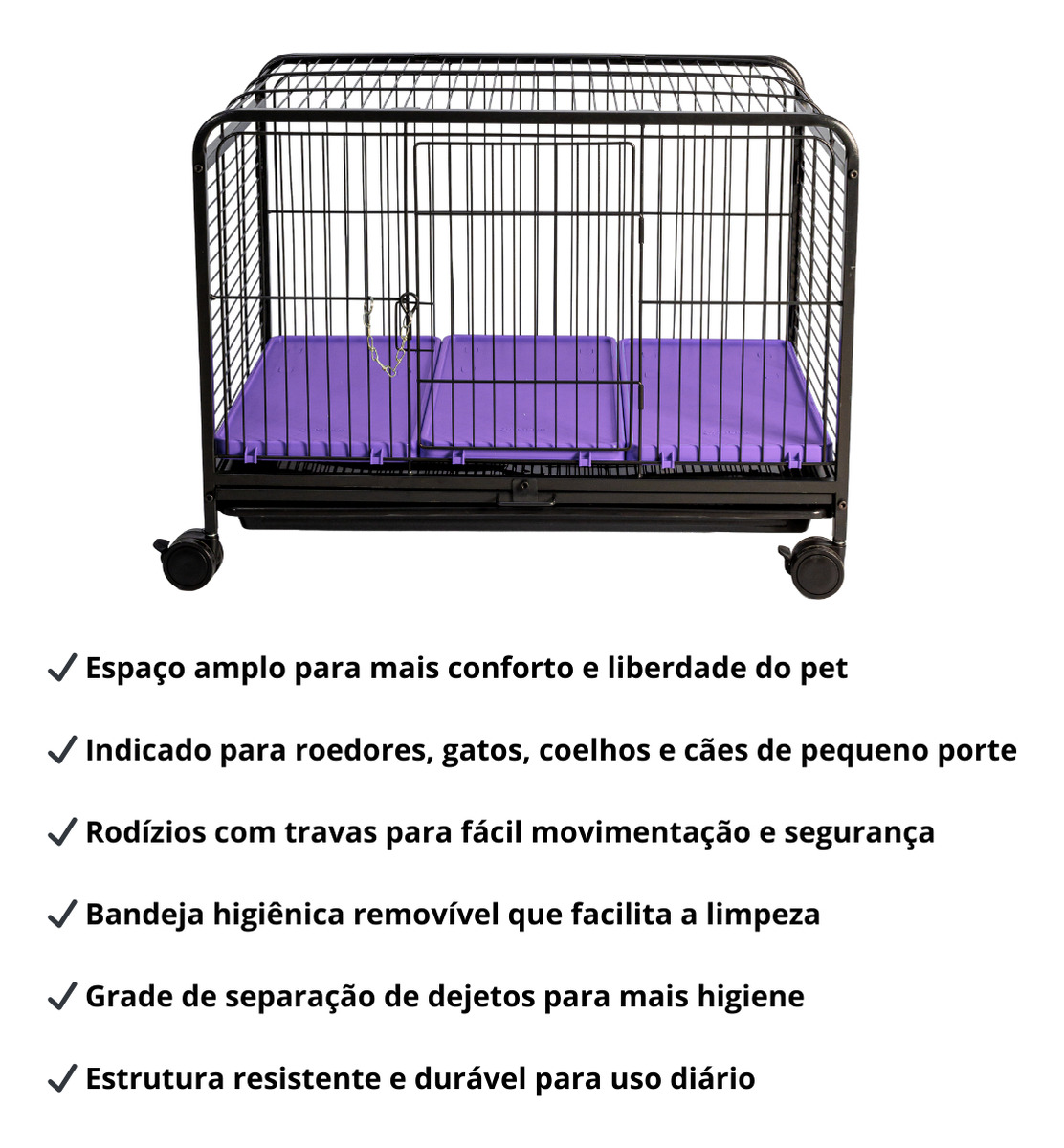 Leva Pet Grande 3