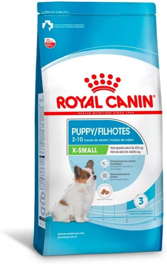 X-Small Filhotes / Puppy 1