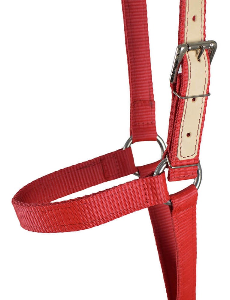 Cabresto de Seda para Cavalo SV5441 4