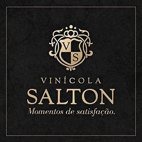 Salton Vinho Lunae Frisante Branco 750ml 2