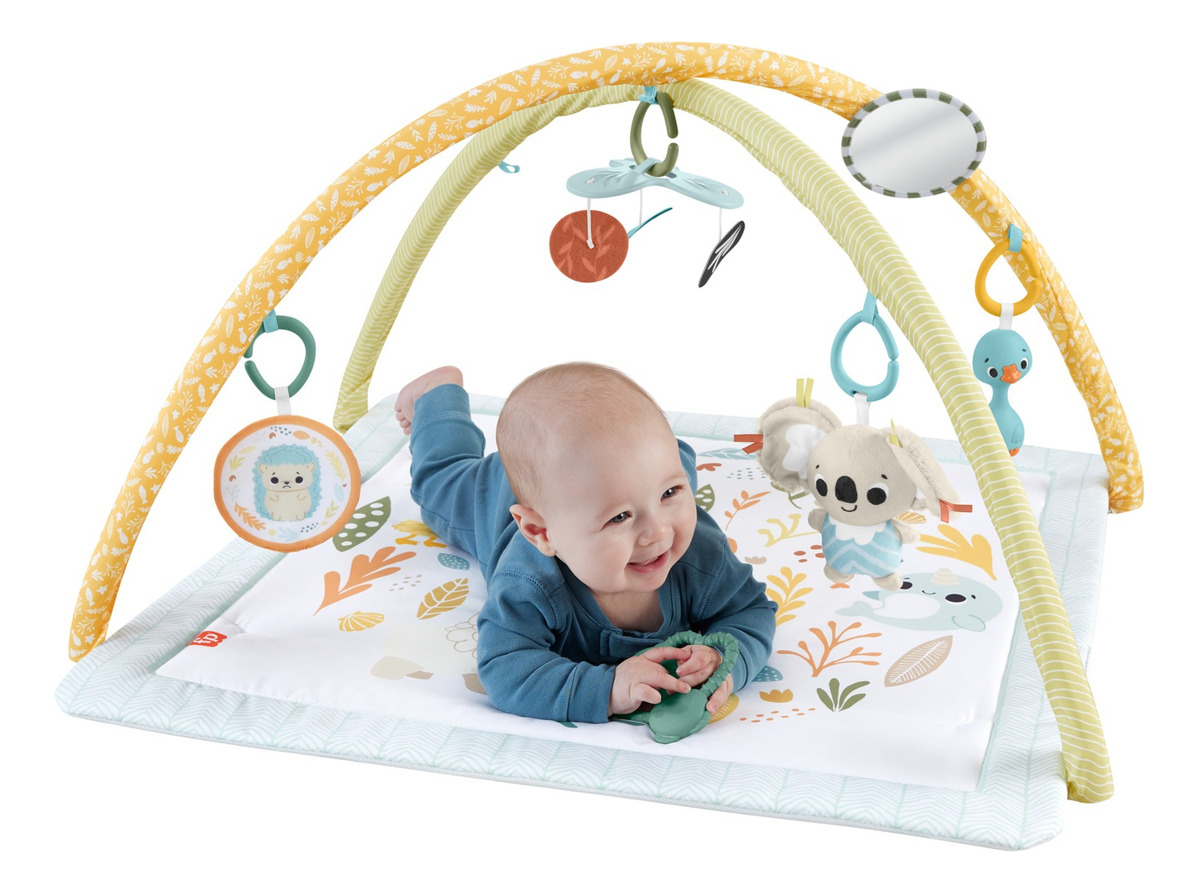 Baby Ginásio para Bebês Primeiros Sentidos 2