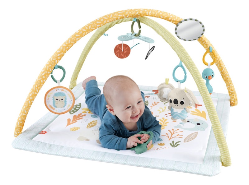 Baby Ginásio para Bebês Primeiros Sentidos 2