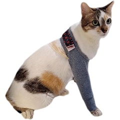 Protetor de Perna Traseira e Dianteira para Gato