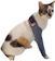 VANI PET Protetor de Perna Traseira e Dianteira para Gato 1