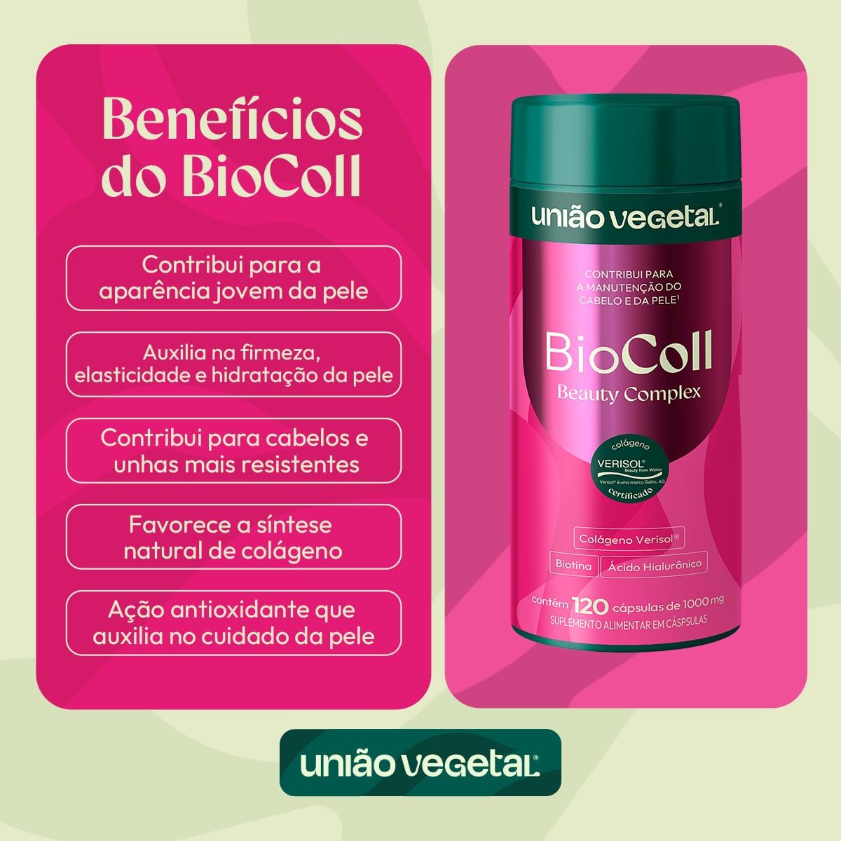 BioColl 3