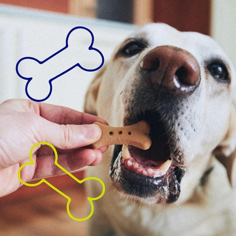 PetDog Cookie Mix 4