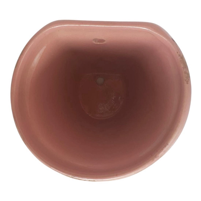 Vaso de Parede Verde Suspenso para Orquídeas 18 x 19 cm 4