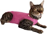 Top 10 Melhores Roupas Cirúrgicas para Gatos em 2026 (Vani Pets, Luvy Pet e mais) 5