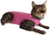 VANI PET Roupa Cirúrgica Gato Unissex Dry Fit 1