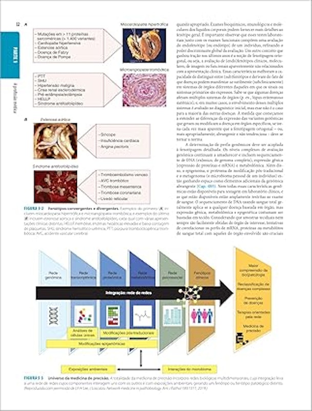 Medicina Interna de Harrison 2 Volumes 5