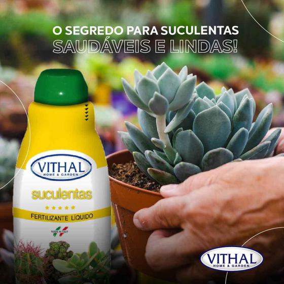 Fertilizante Vithal Líquido Suculentas 2