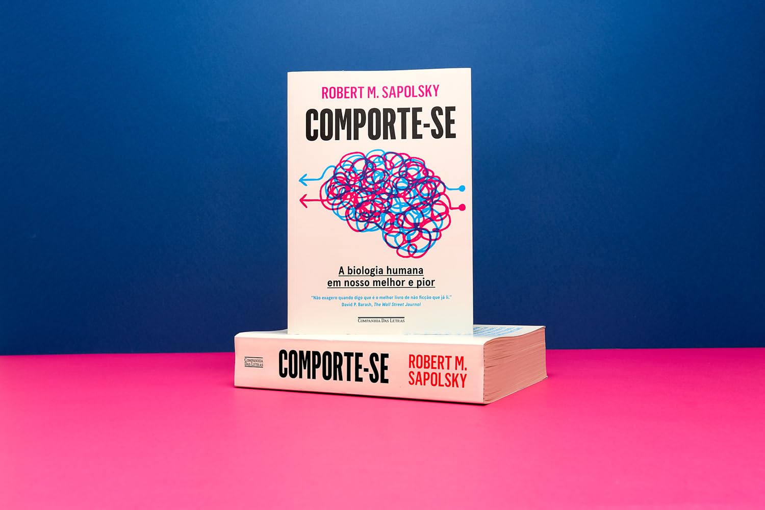 Comporte-se  3