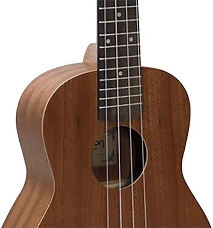 Ukulele Concert Acústico Benson UB-24 3