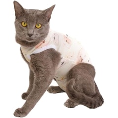 Roupa Gato Pós-Cirúrgica Castração Urso