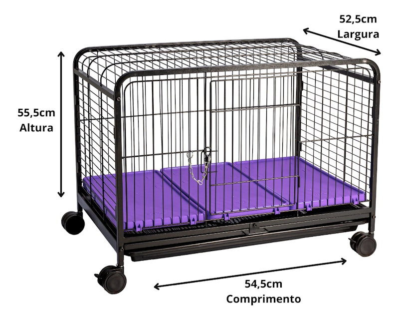 Leva Pet Grande 2