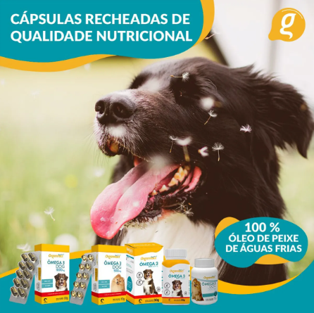 Omega 3 Dog 3