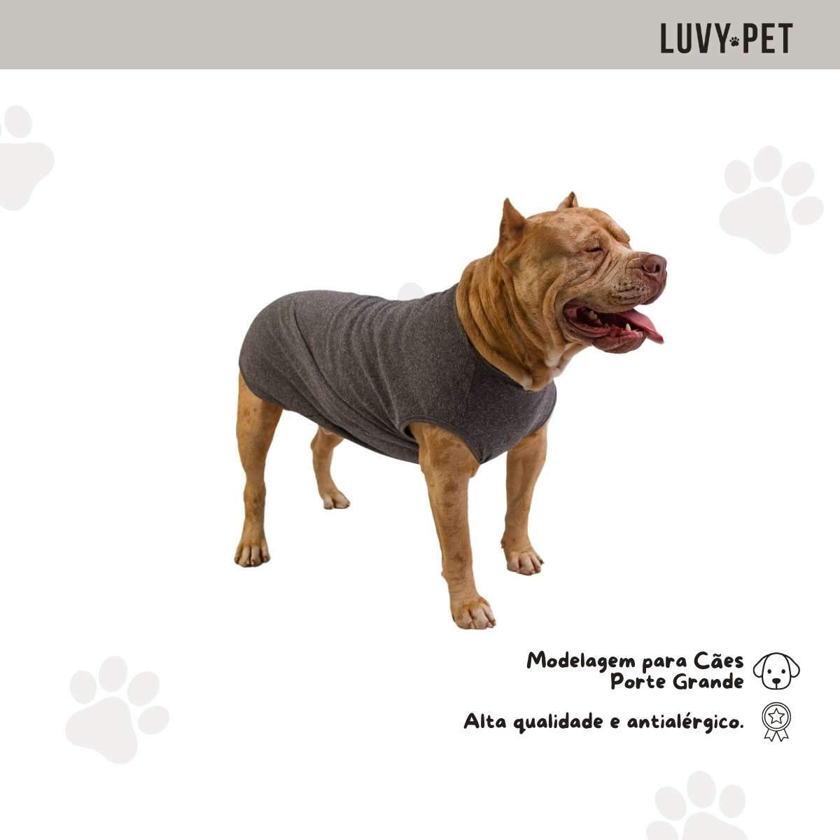Roupa Pet Cães Porte Grande Grafite 4