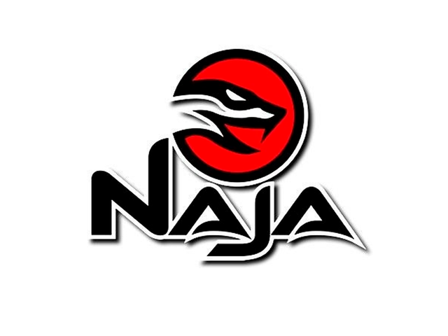 Top 10 Melhores Marcas de Luva de Muay Thai em 2026 (Naja e mais) 3