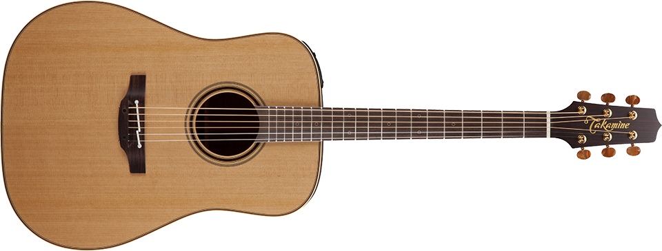 Takamine 5