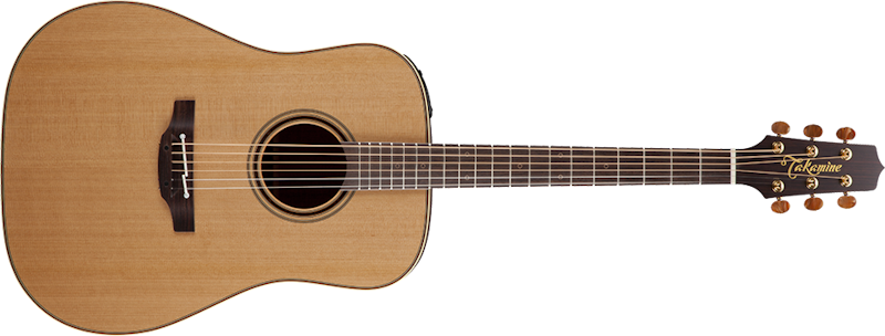 Takamine 5