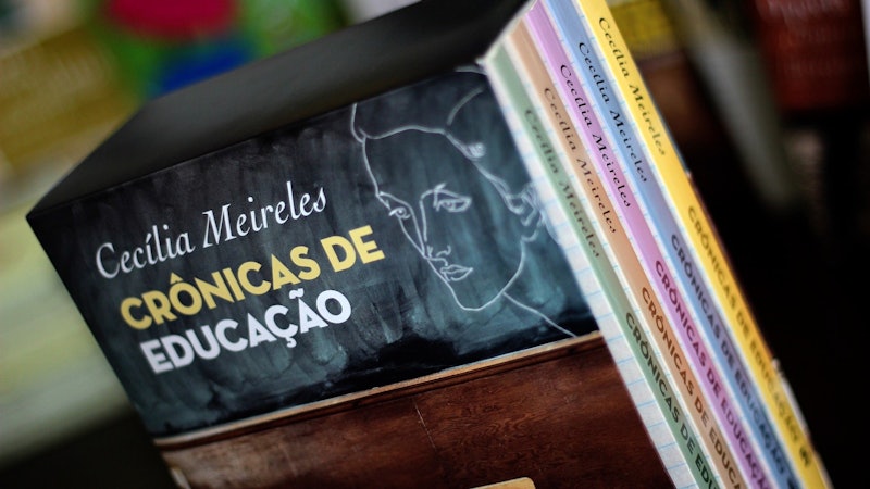 Box - Crônicas de Educação 3