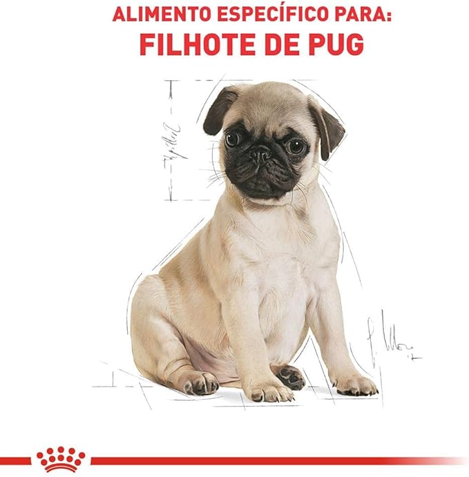 Alimento Seco para Cães Pug Puppy 3