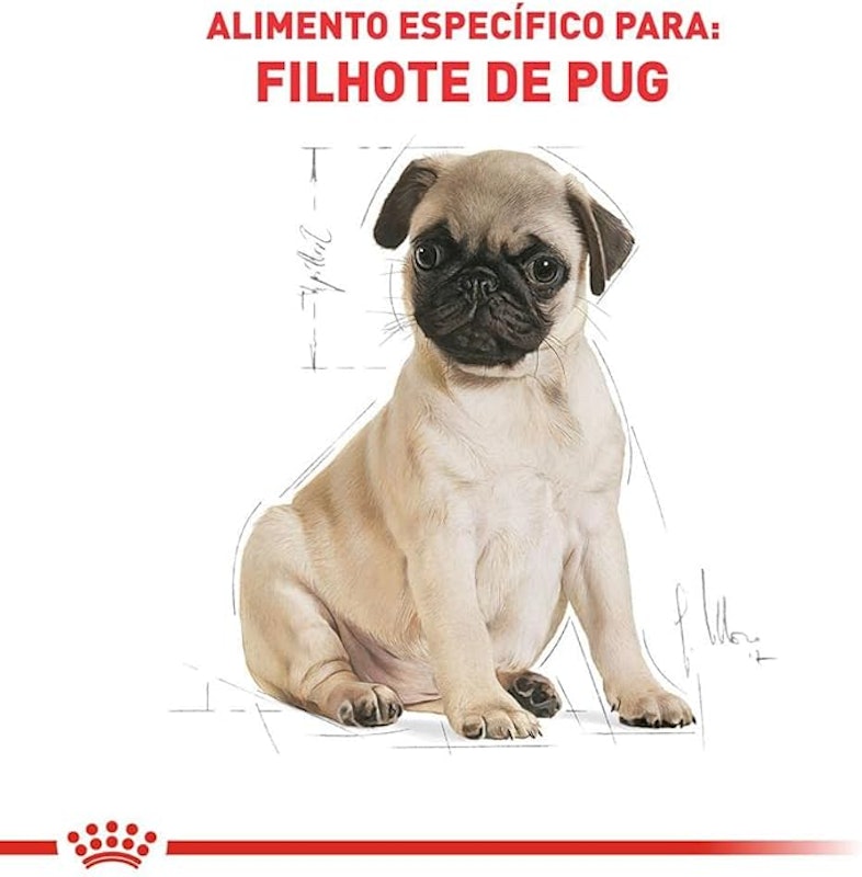Alimento Seco para Cães Pug Puppy 3