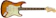 FENDER Fender American Performer Stratocaster 1