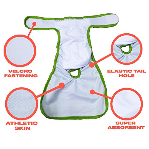 Female Dog Diapers (Washable & Reusable) 3