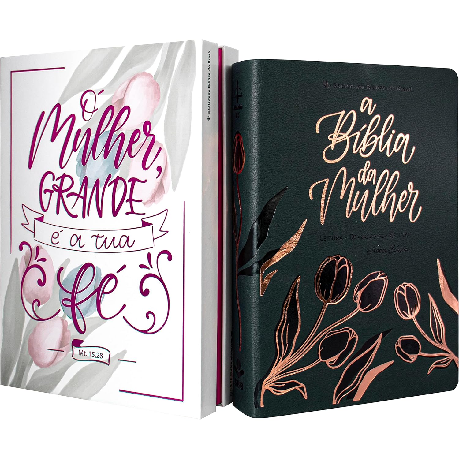 Bíblia da Mulher - Nova Edição ARC 2
