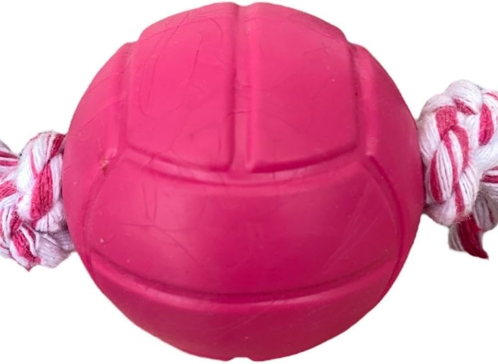 Brinquedo Bolinha 4,5 Lisa com Corda 2