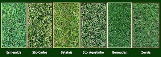 Kapina 60 ml 3