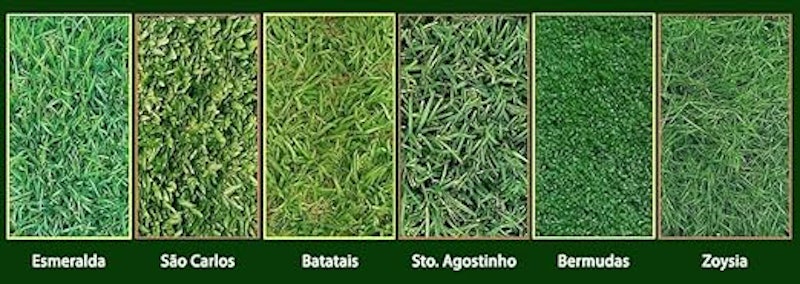 Kapina 60 ml 3