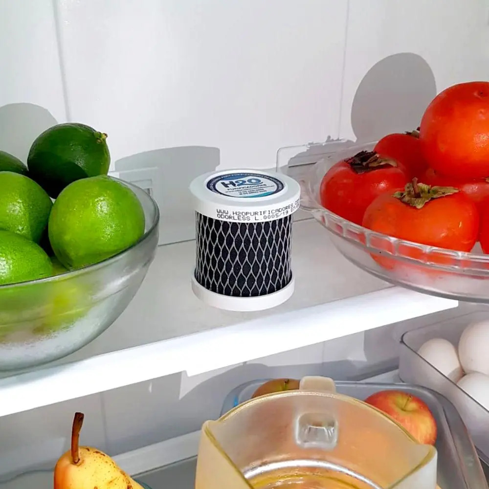 Carvão Ativado para Geladeira 3
