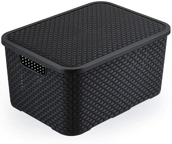 Organizador Rattan com Tampa Preto 20 L 1