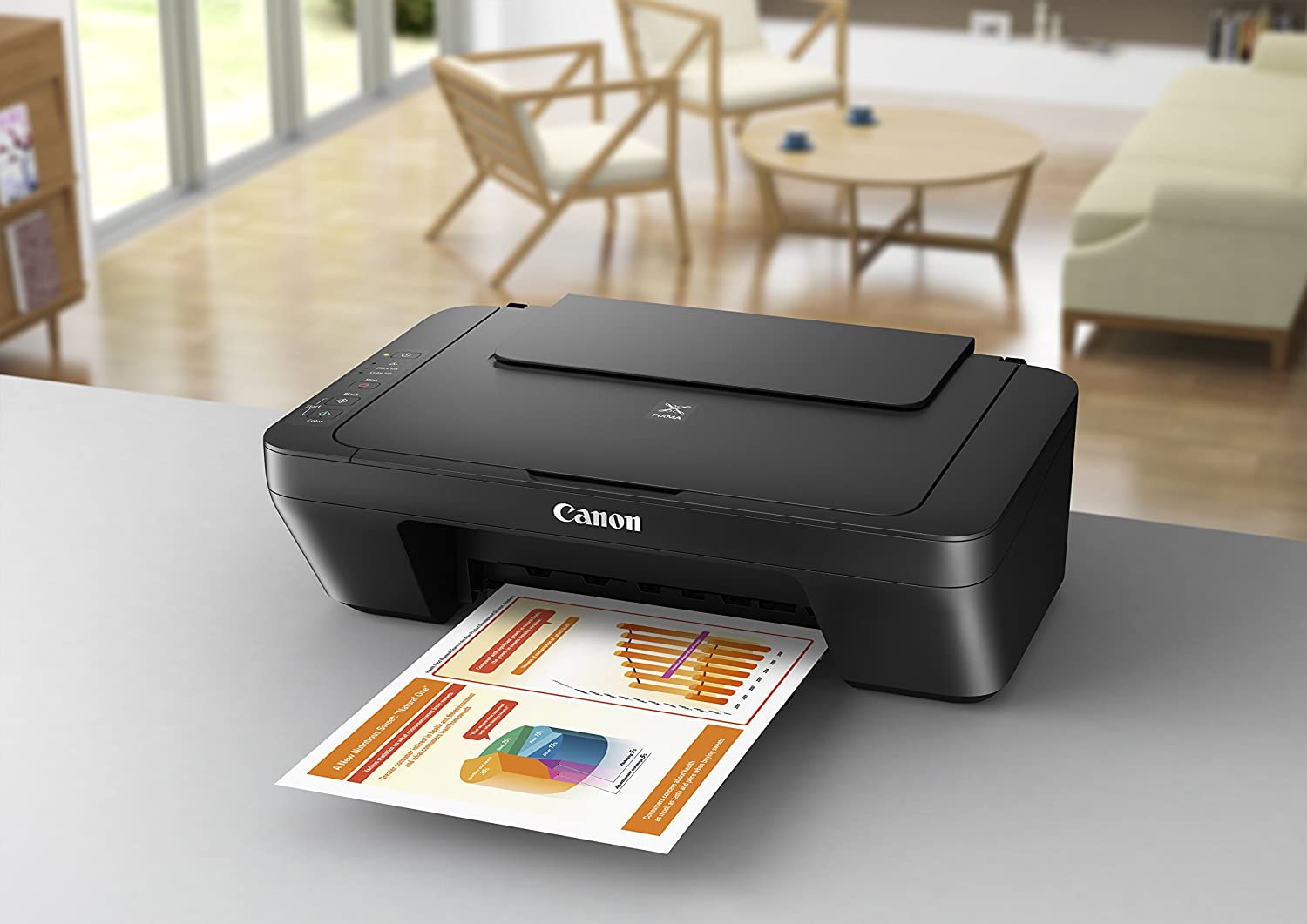 Impressora Canon PIXMA MG2525 2